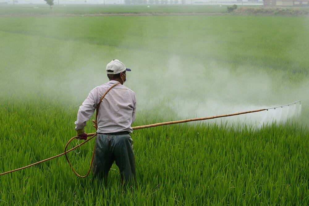 Person spraying crops